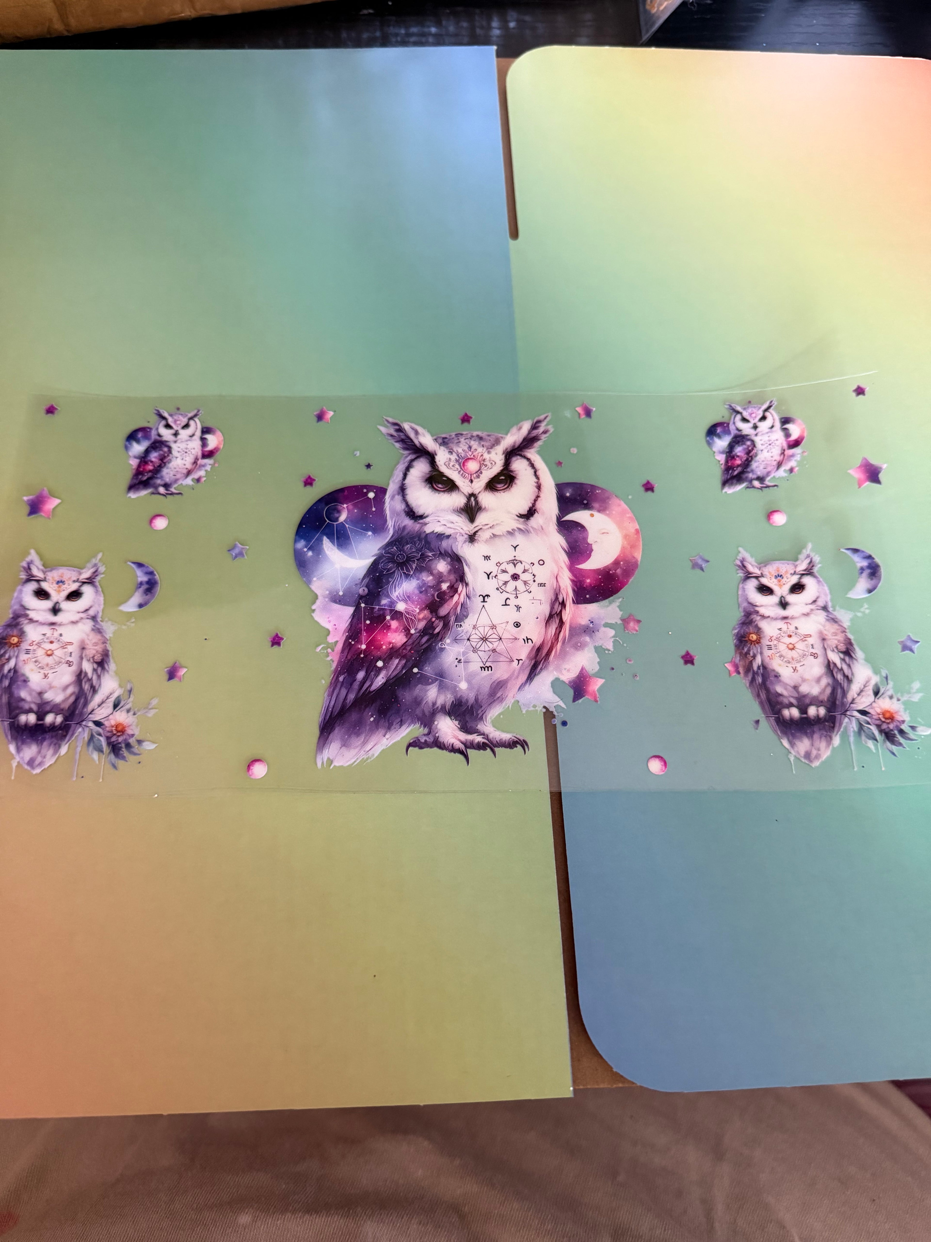 Purple owl