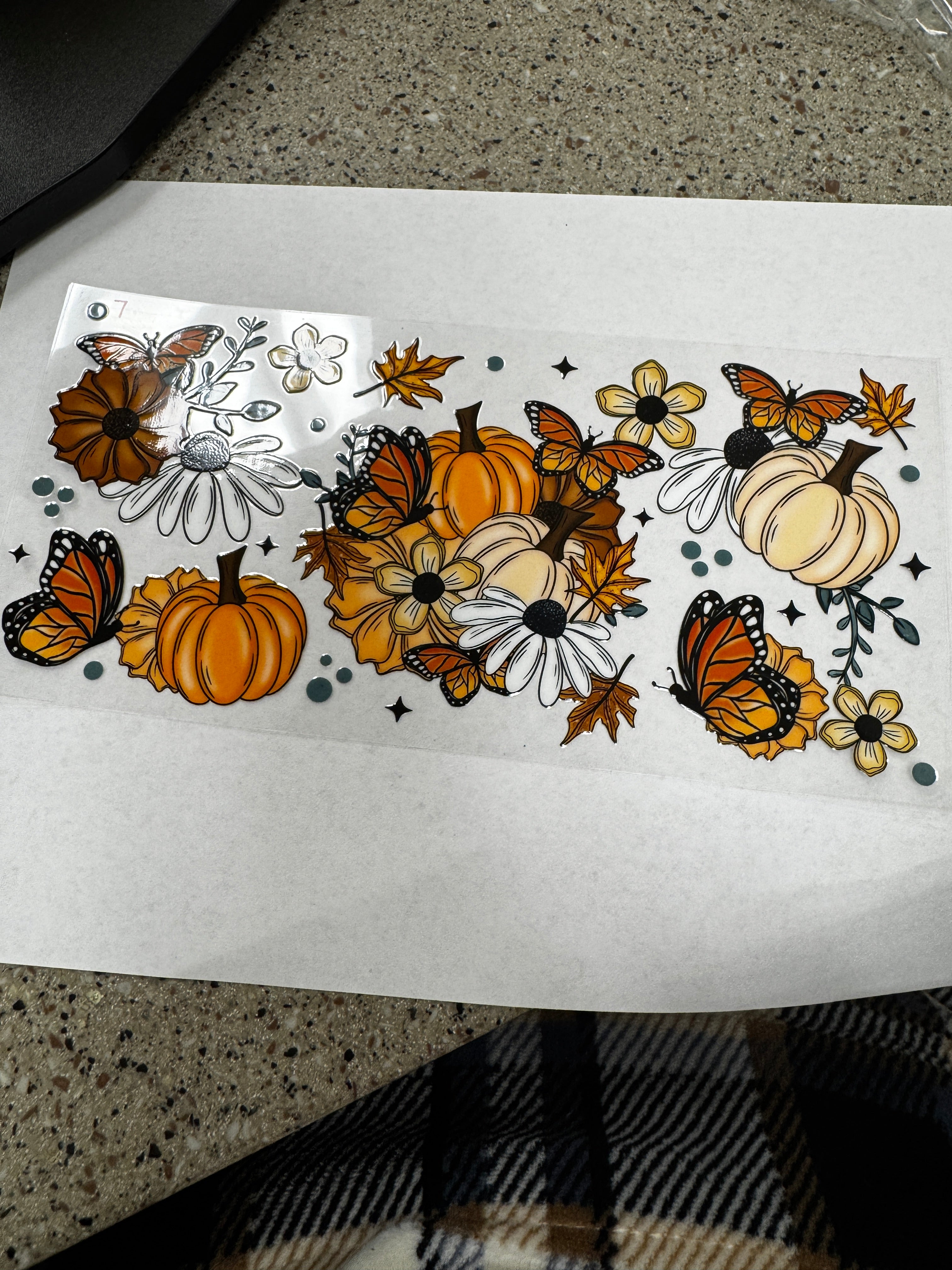 Pumpkins, butterflies, flowers