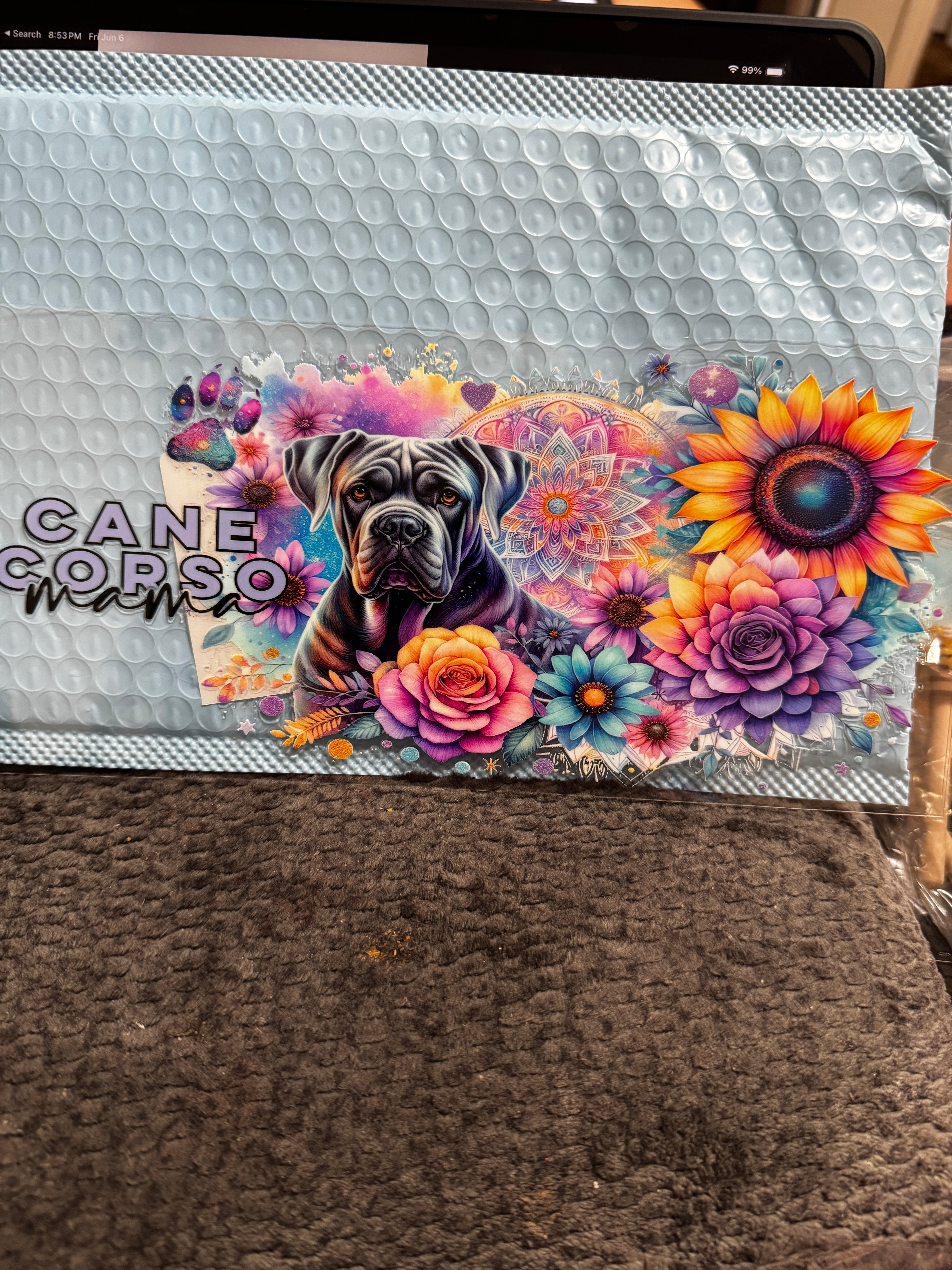 Cane corso mama