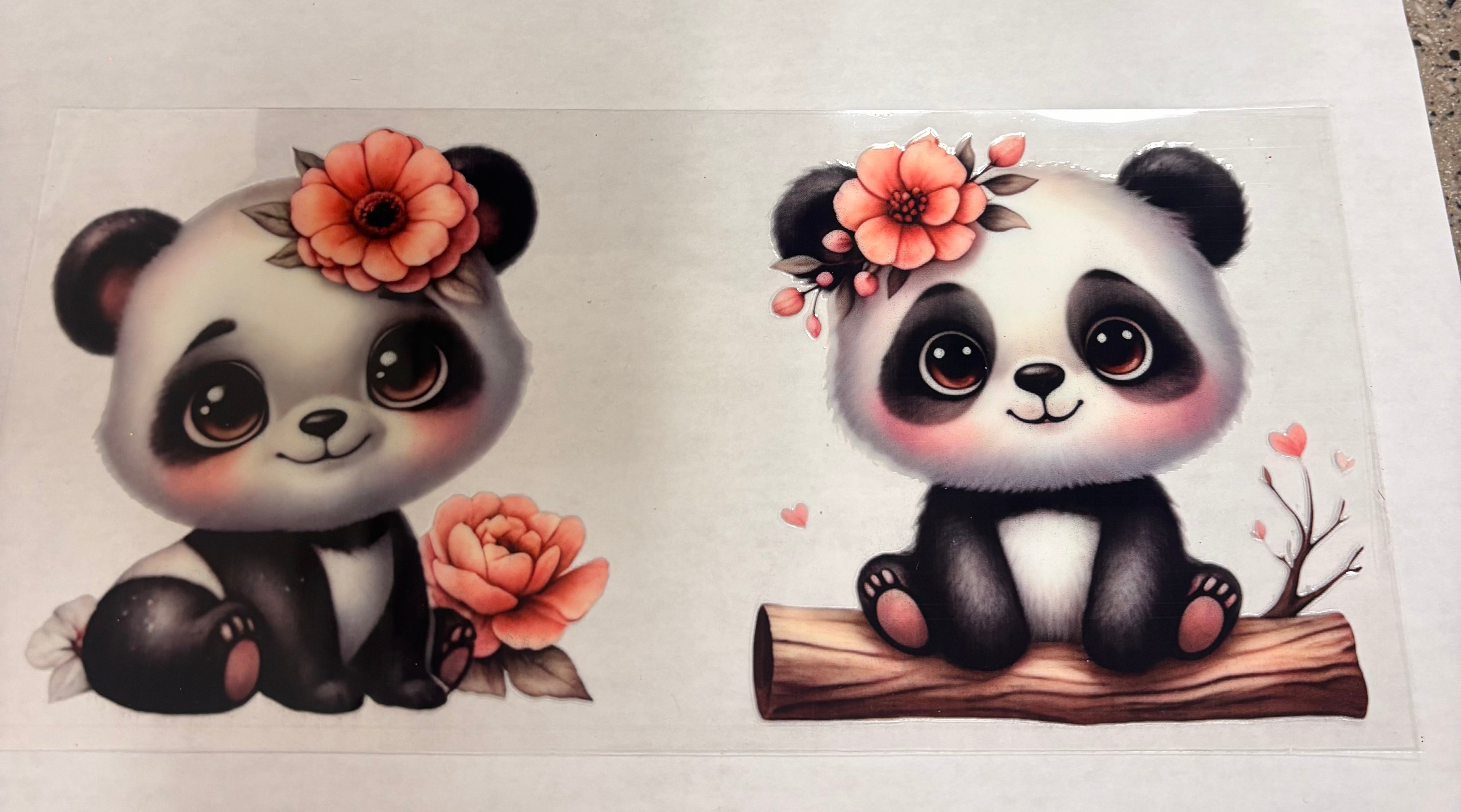 Panda