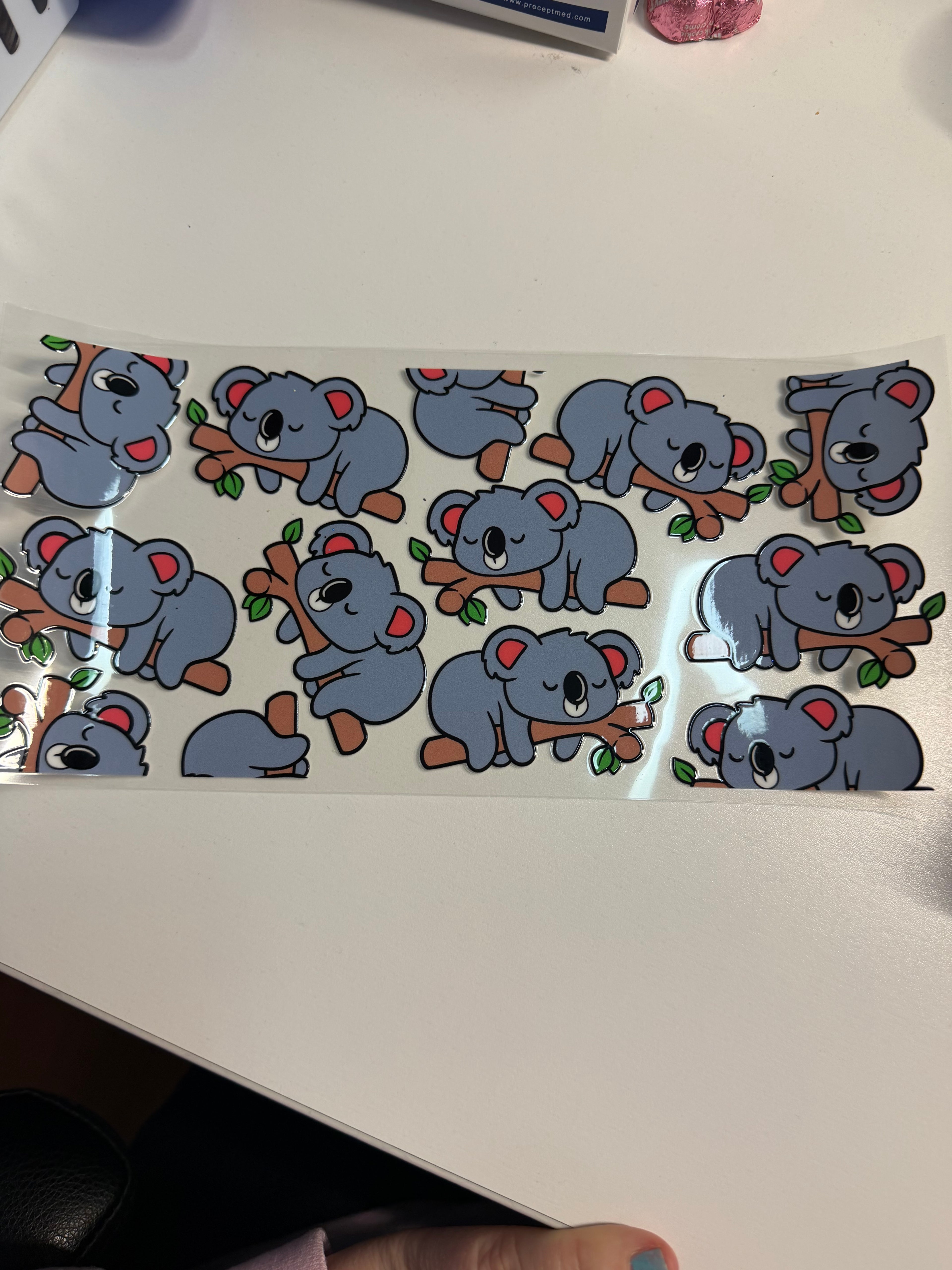 Koala