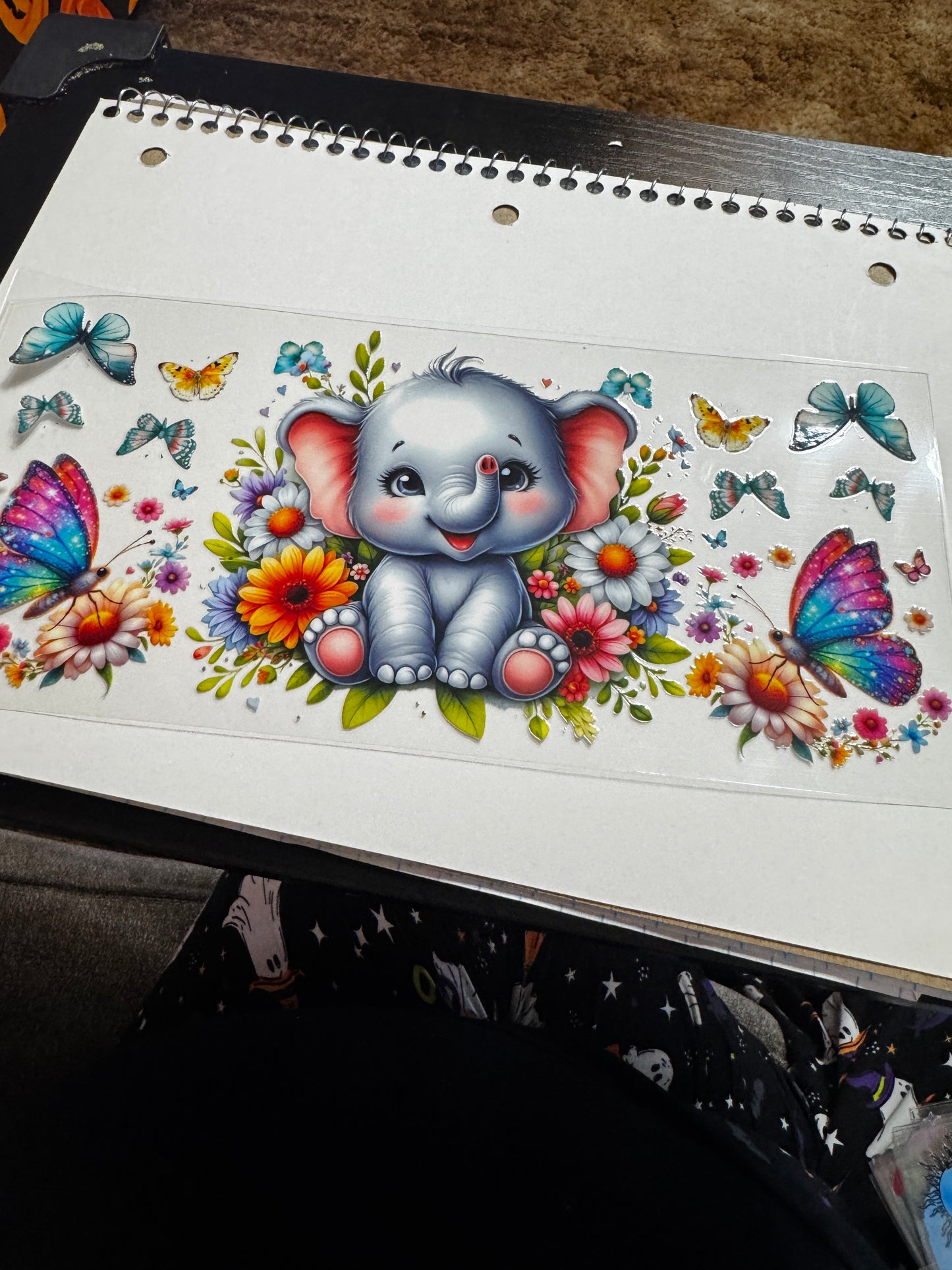 Baby elephant