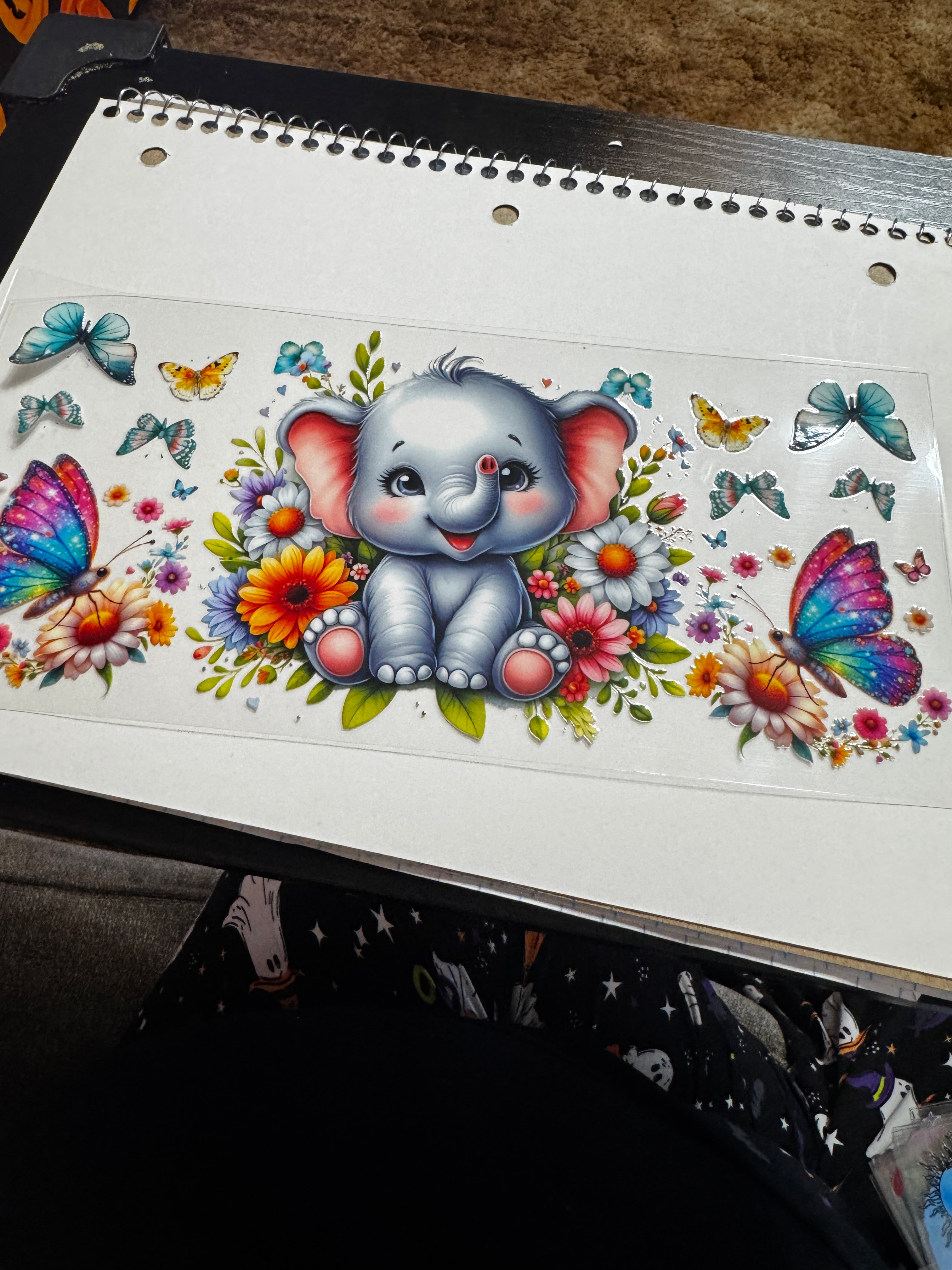 Baby elephant