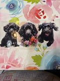 Black poodle