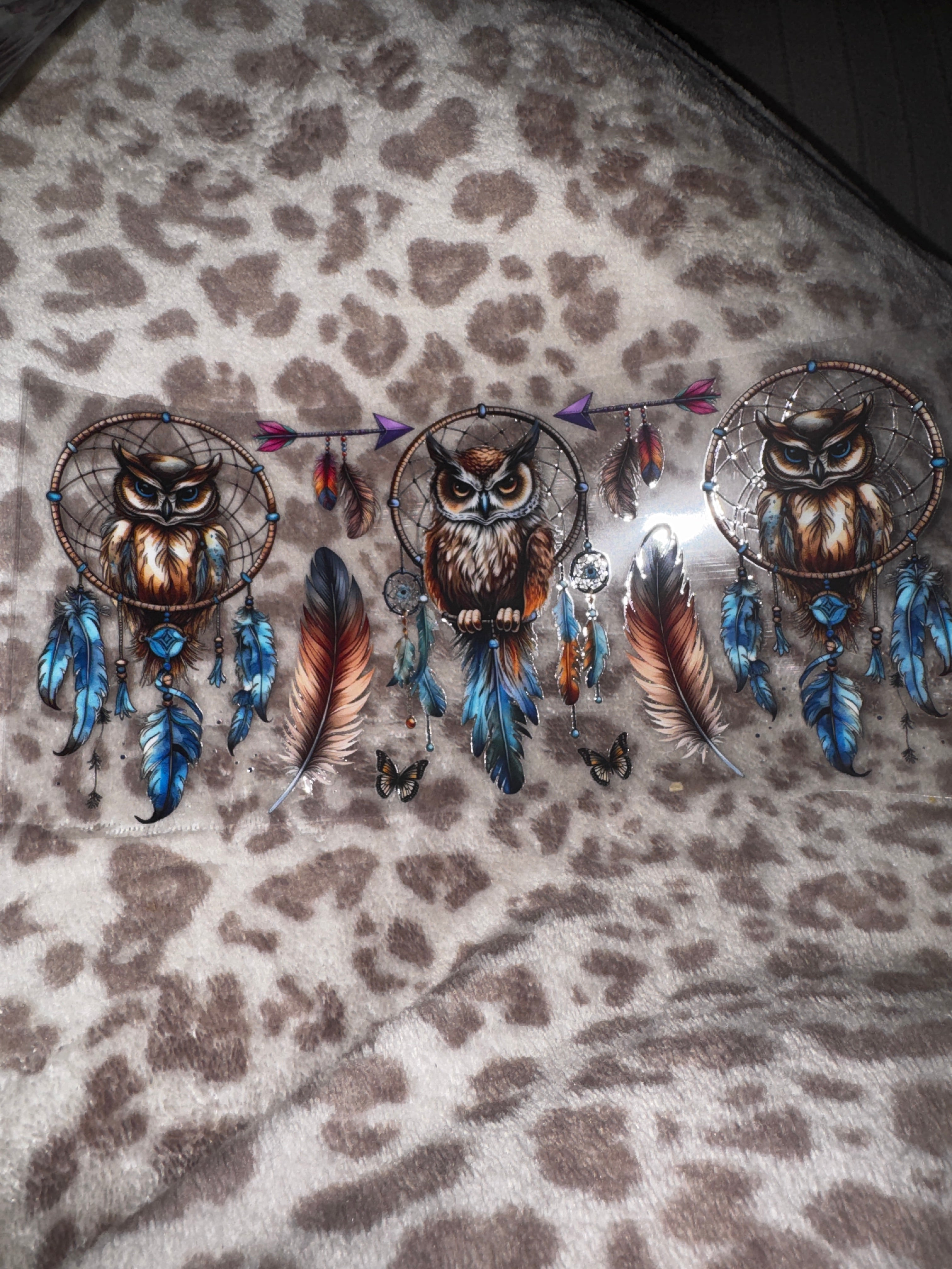 owls