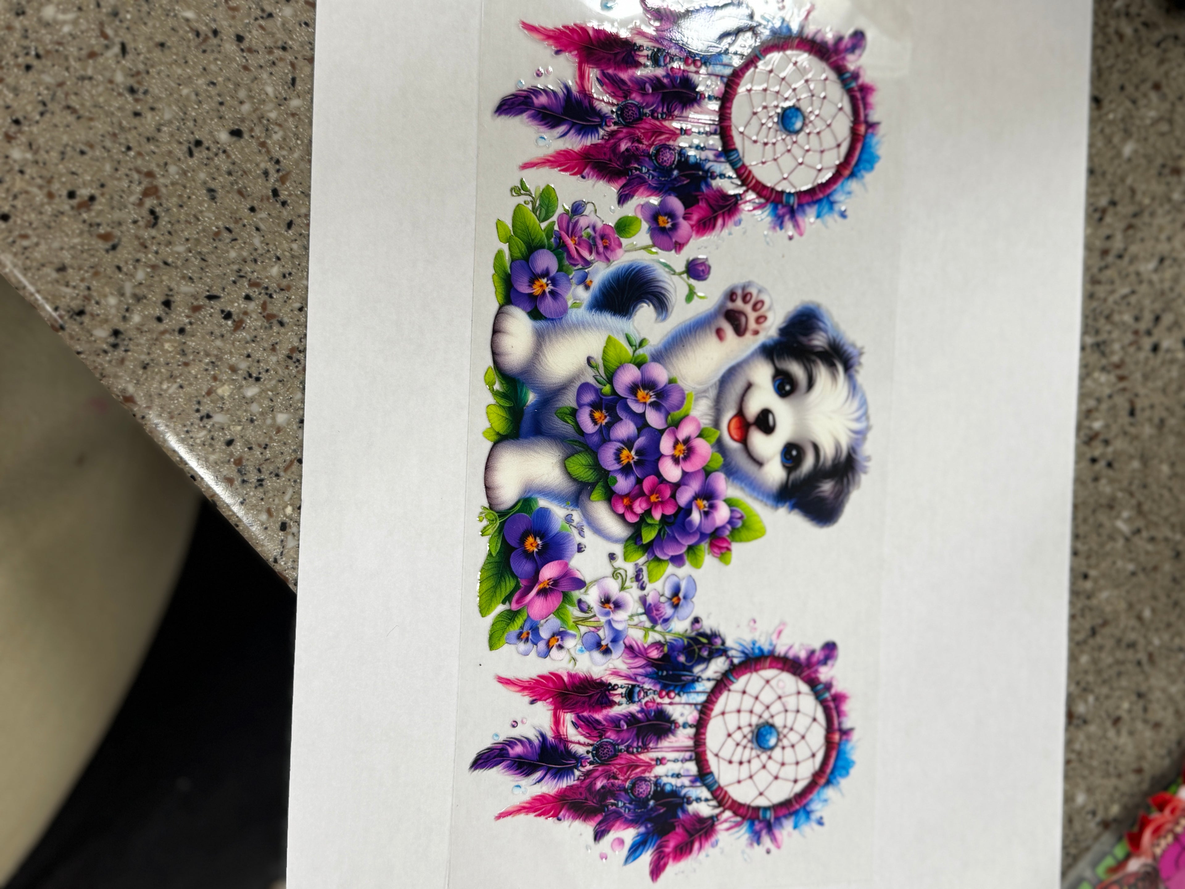 Puppy and dream catchers
