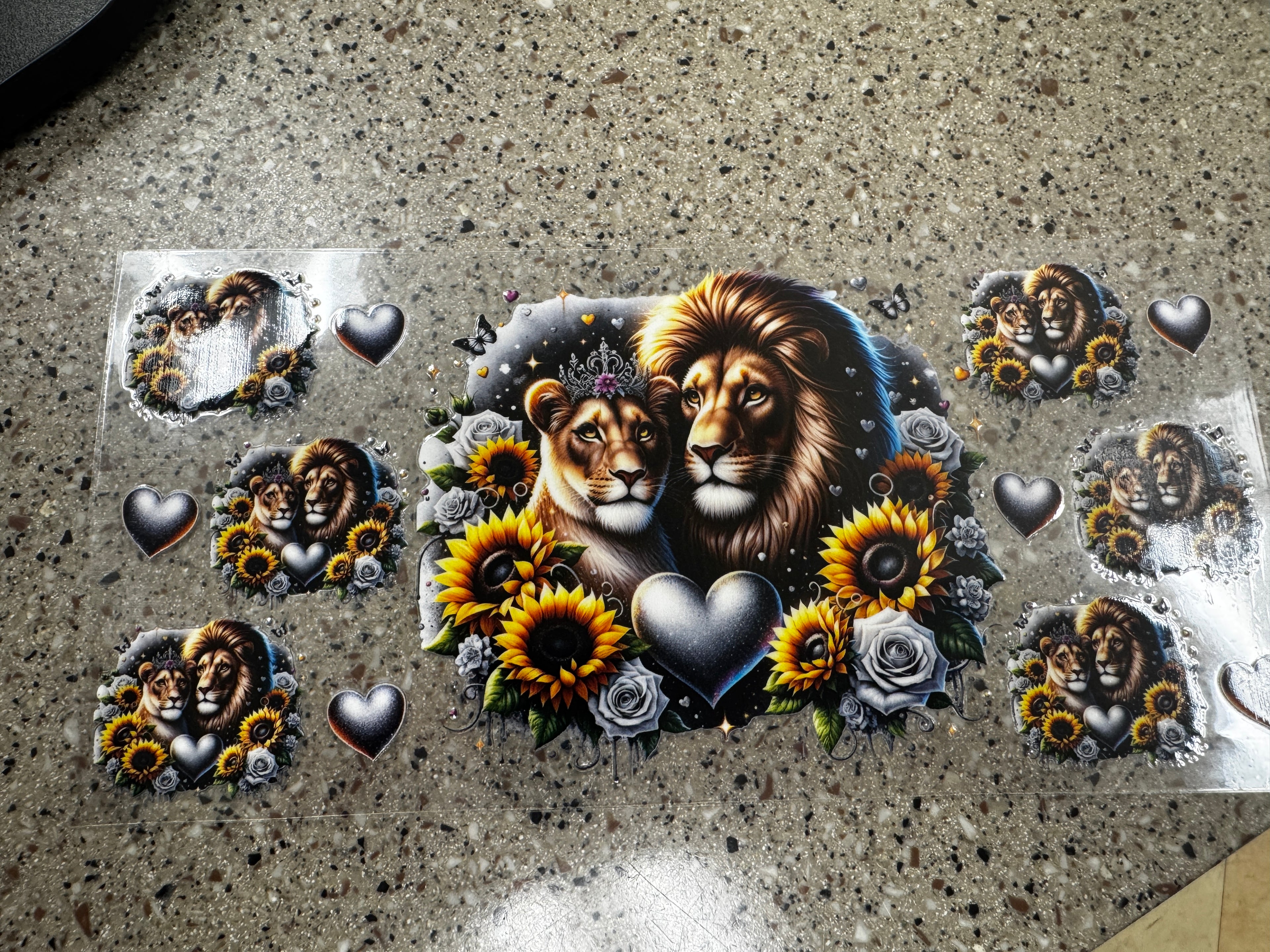 Lions 🦁