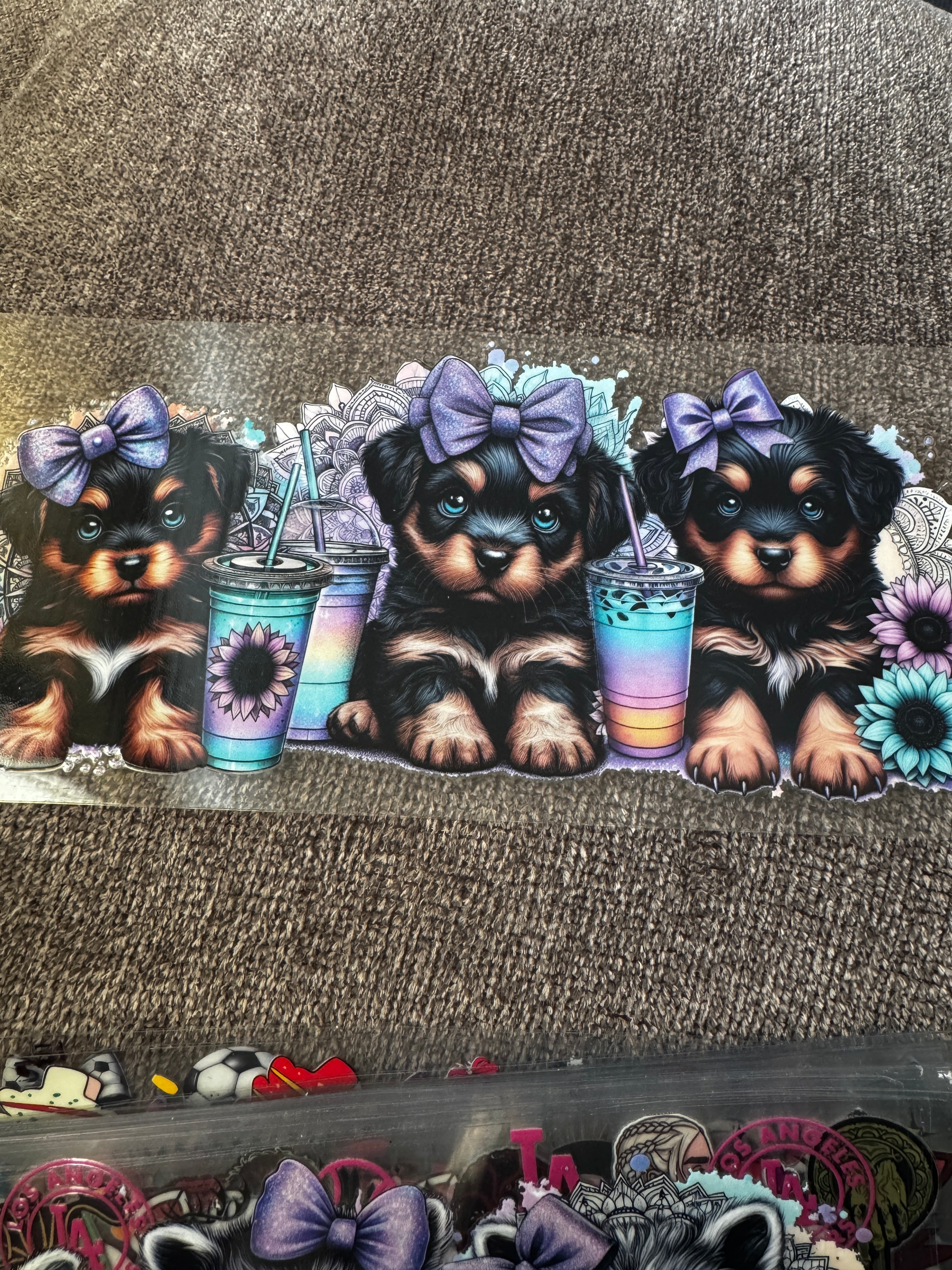 Cute puppies