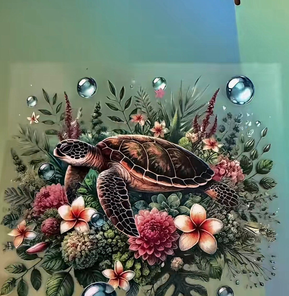 Turtle