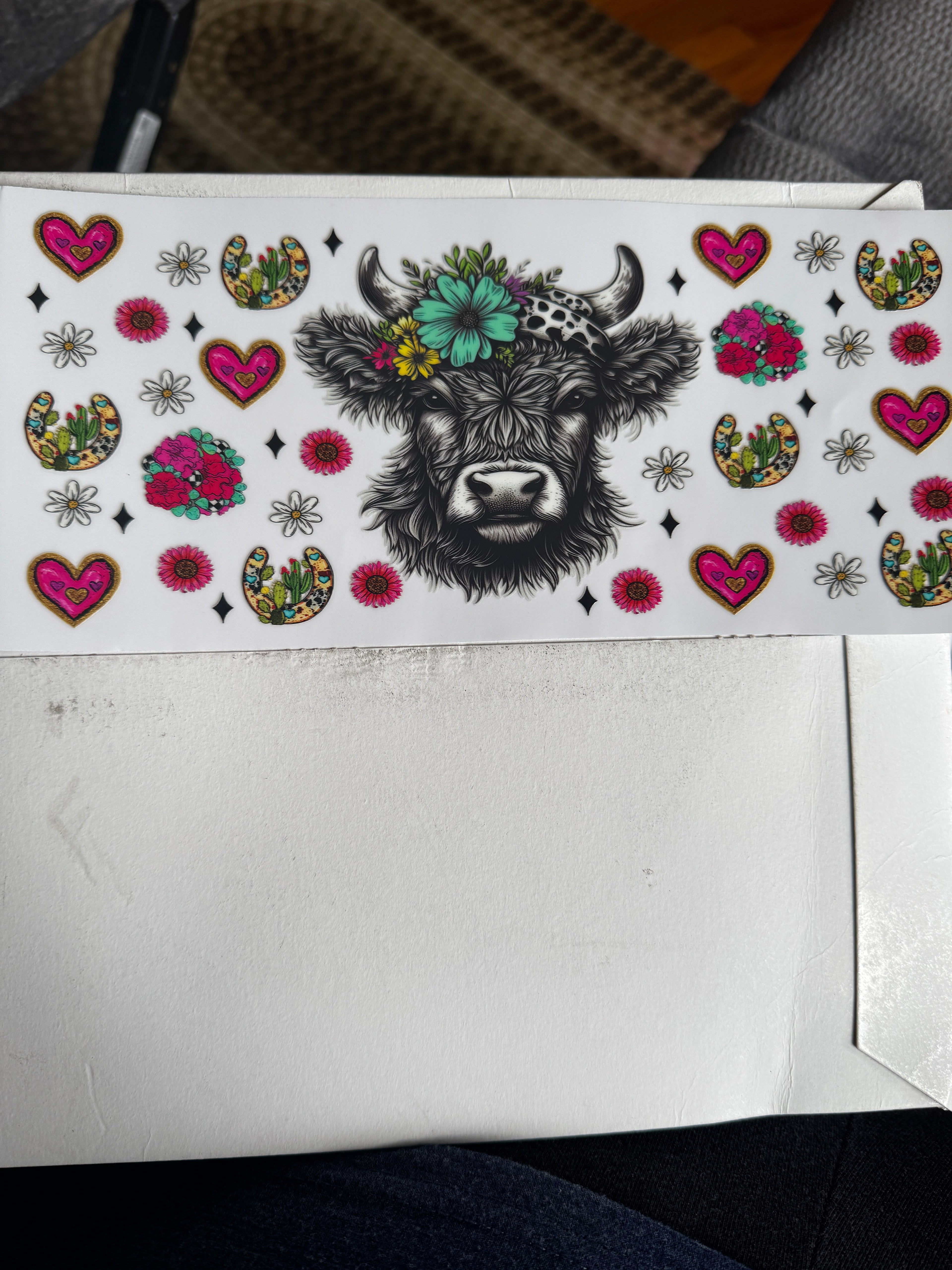 Western highland cow