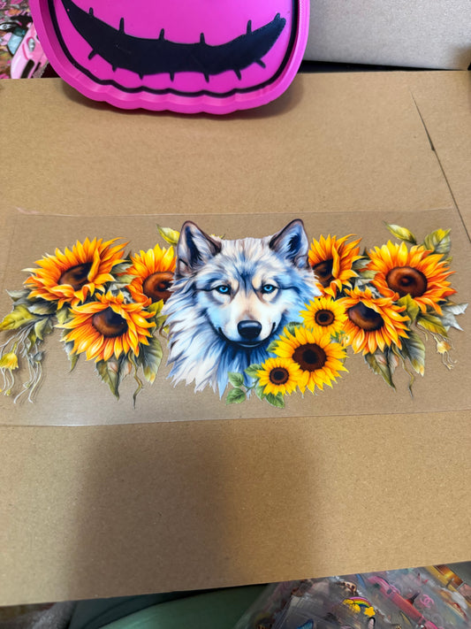 Sunflower wolf
