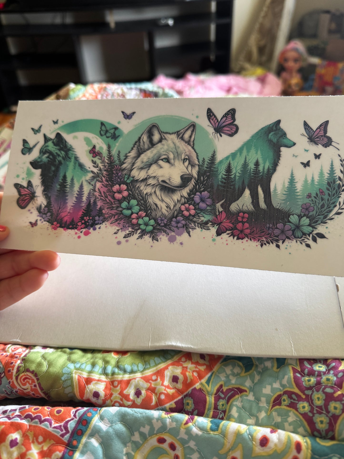 Wolf butterflies