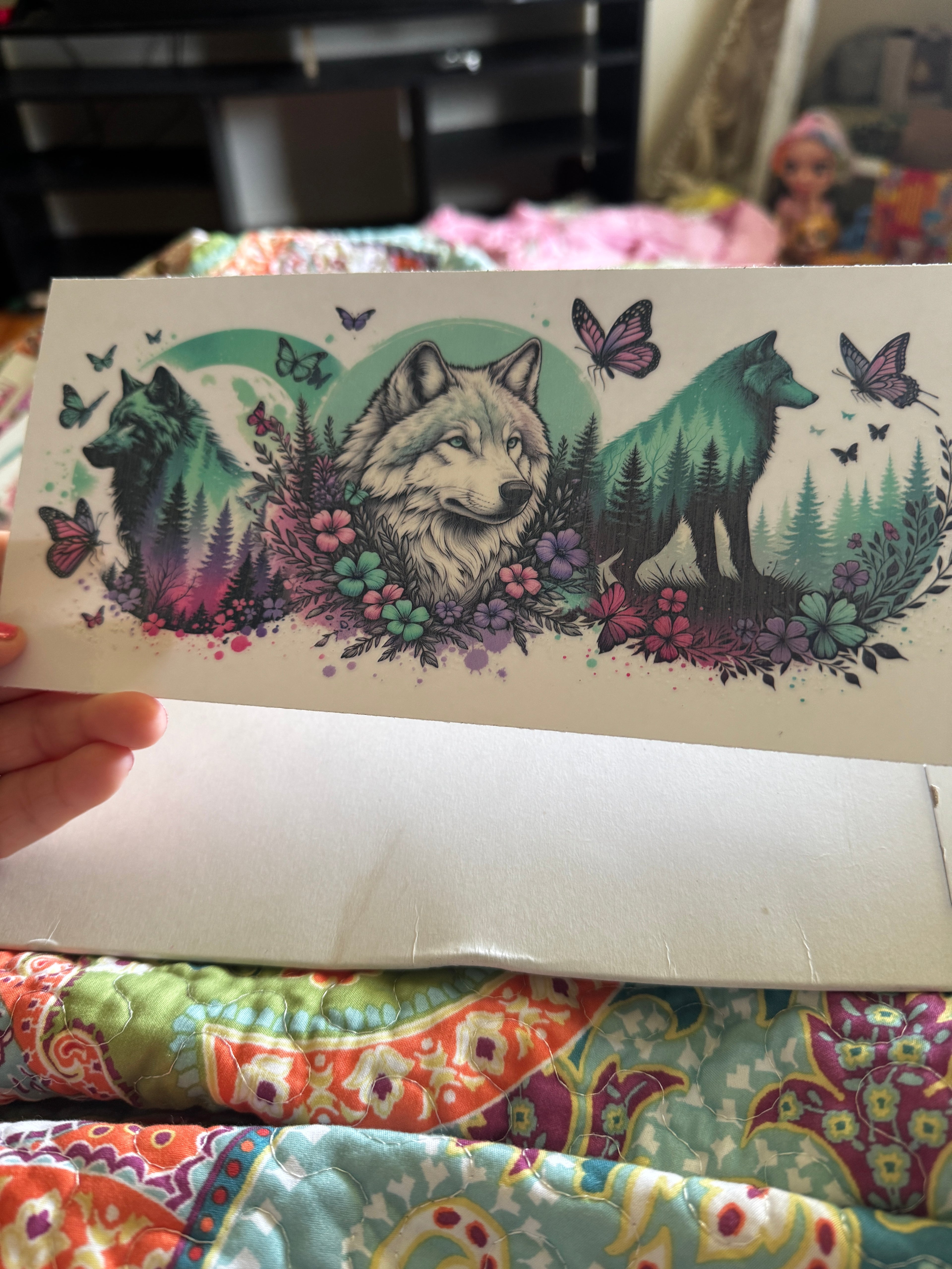 Wolf butterflies