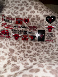 Chicago bulls