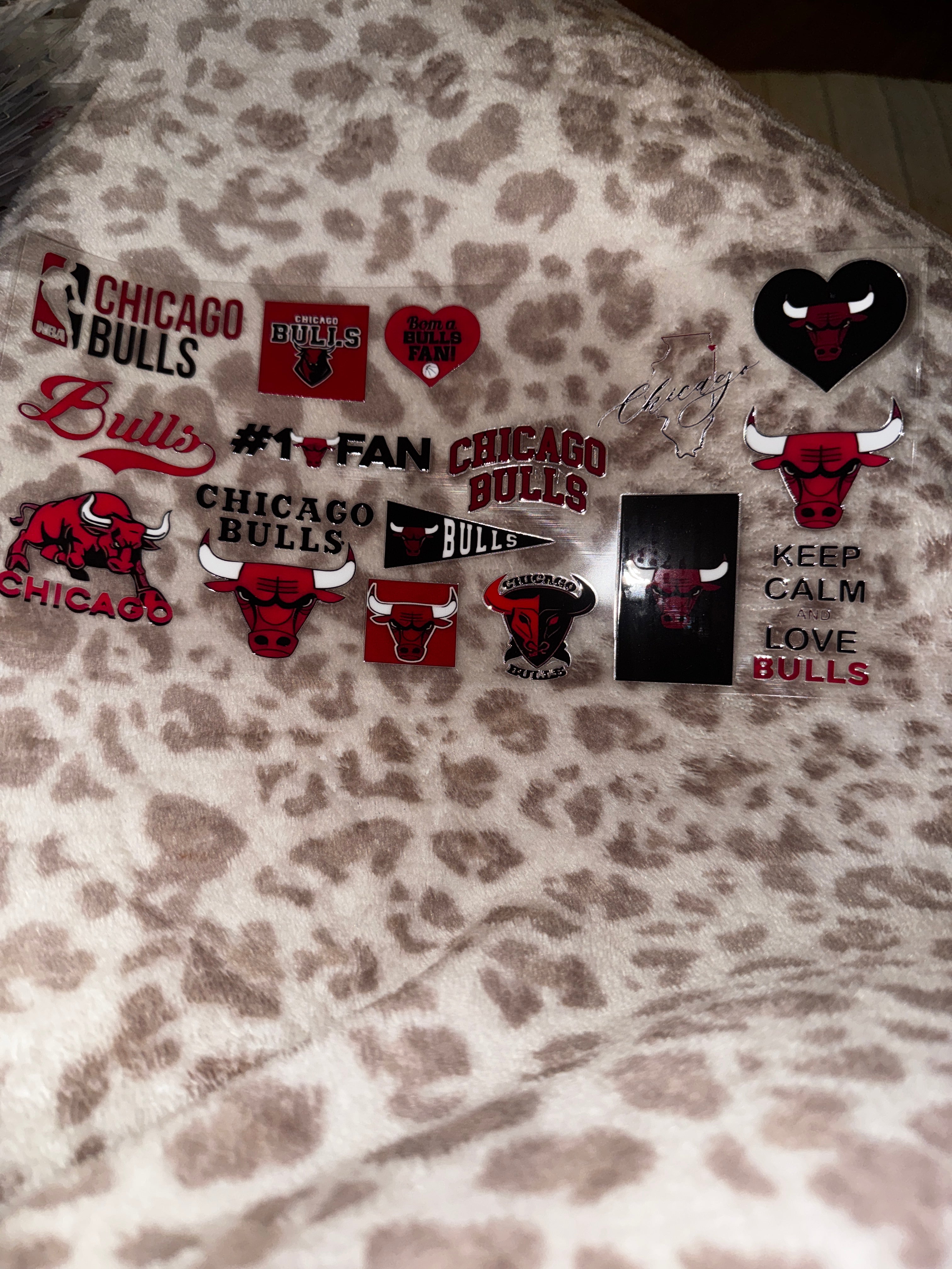 Chicago bulls