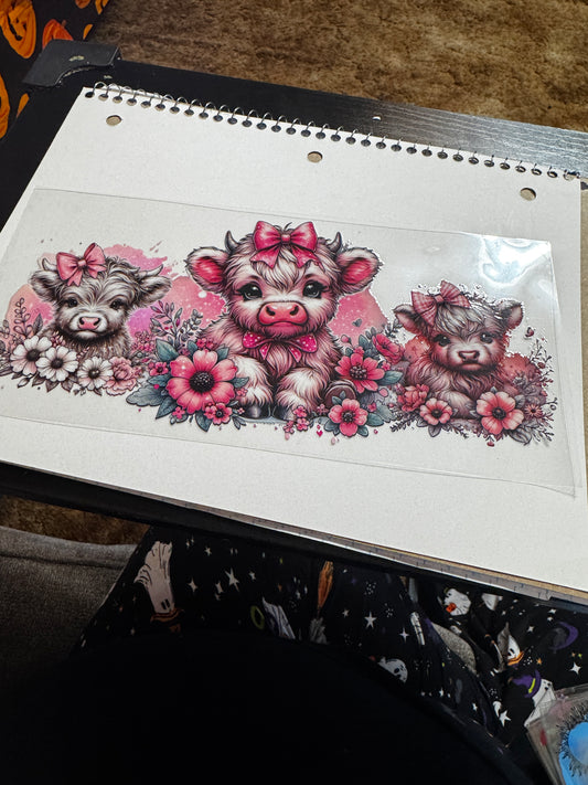 cows