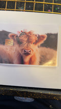 Cow 3