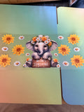 Elephant mom’s sunshine