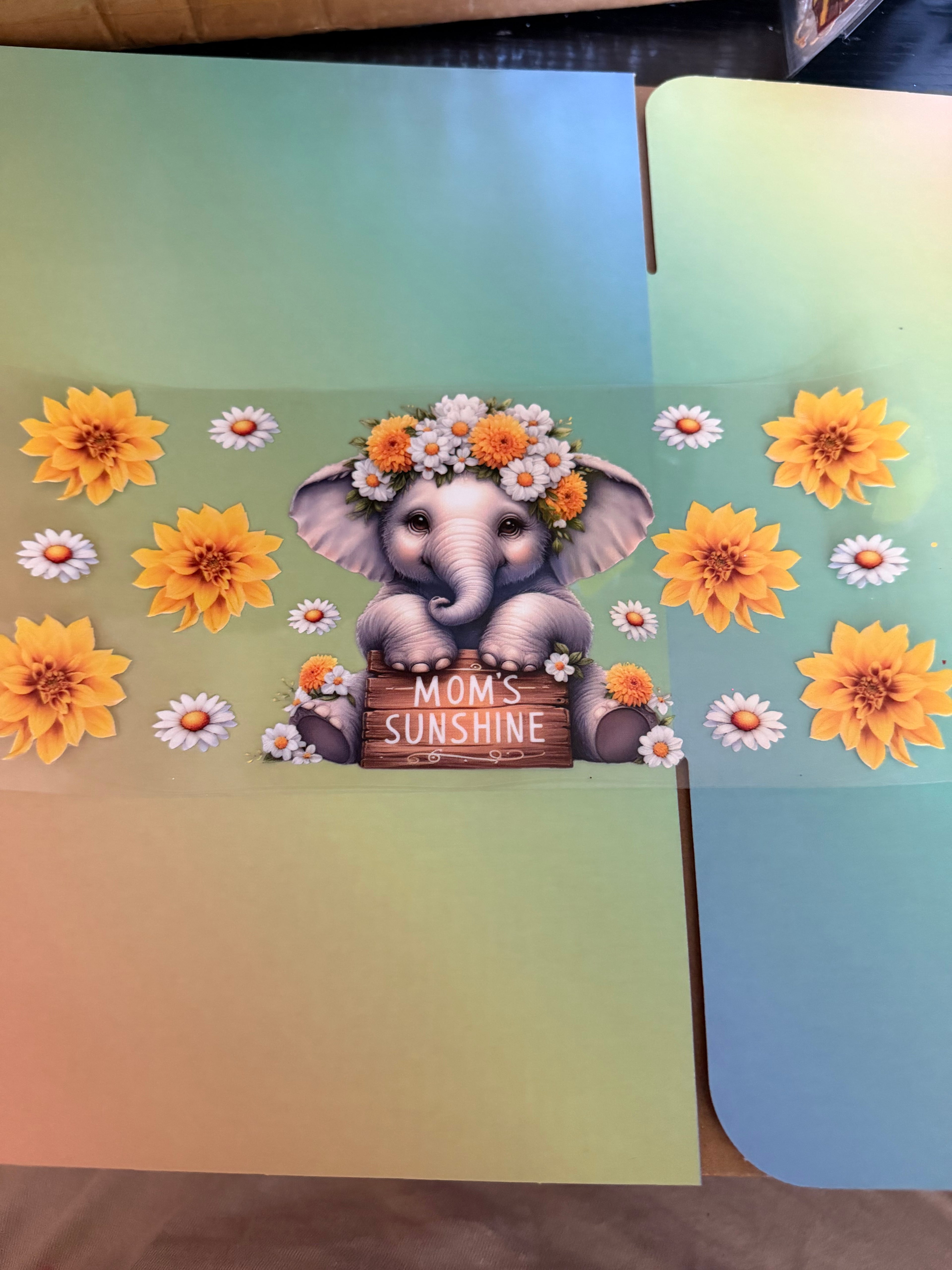 Elephant mom’s sunshine
