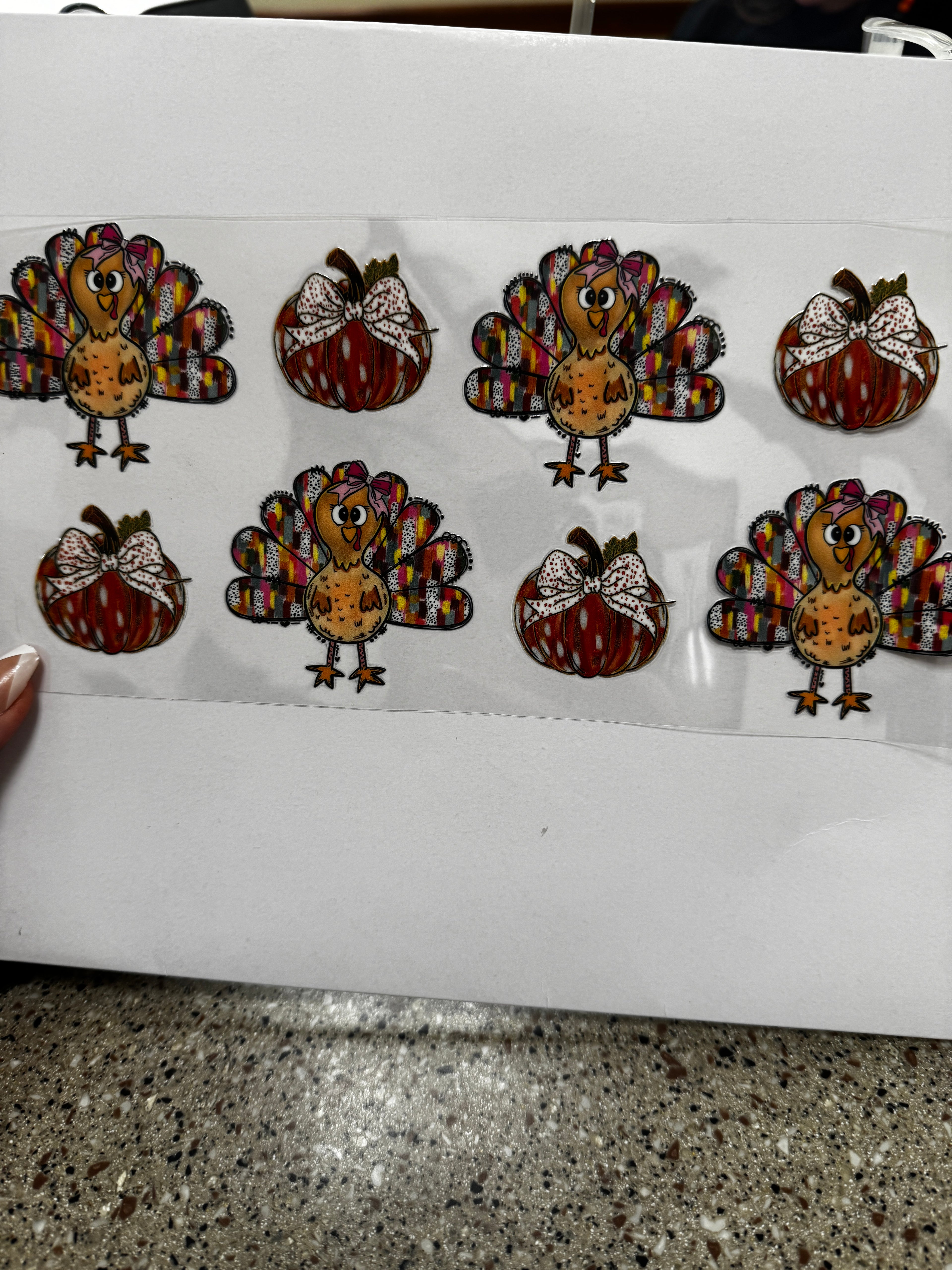 Turkeys and pumpkins
