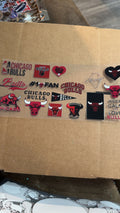 Chicago bulls