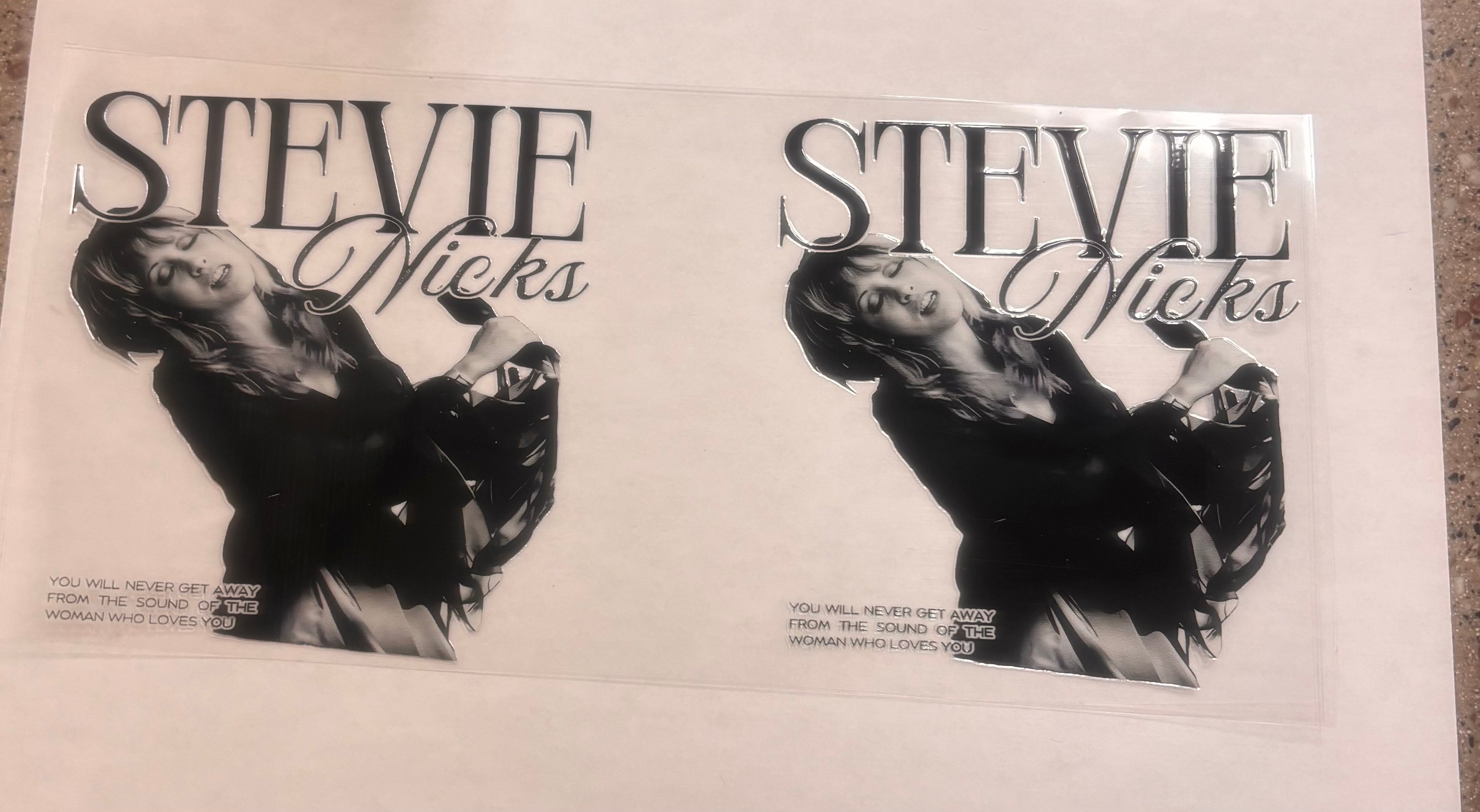 Stevie nicks