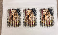 Stevie Nicks American flag