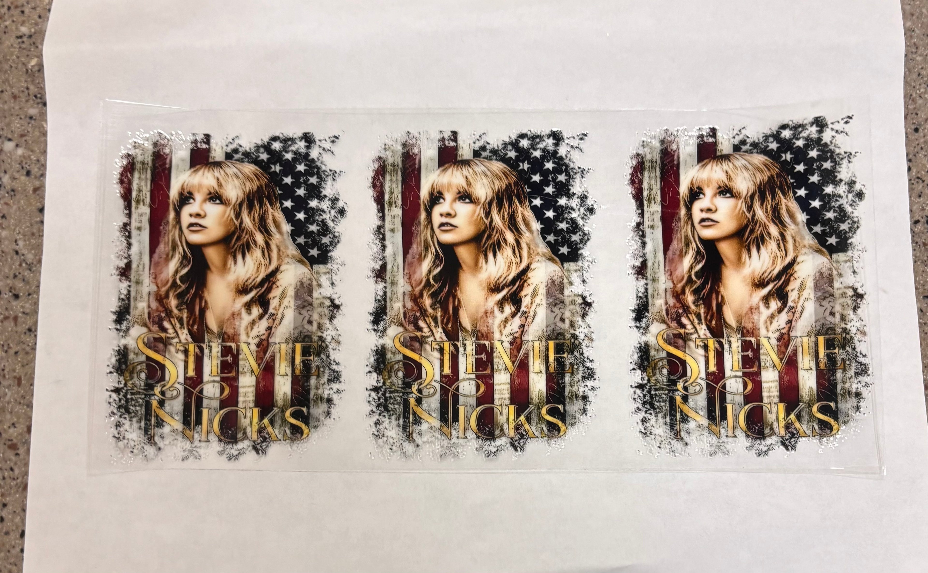 Stevie Nicks American flag