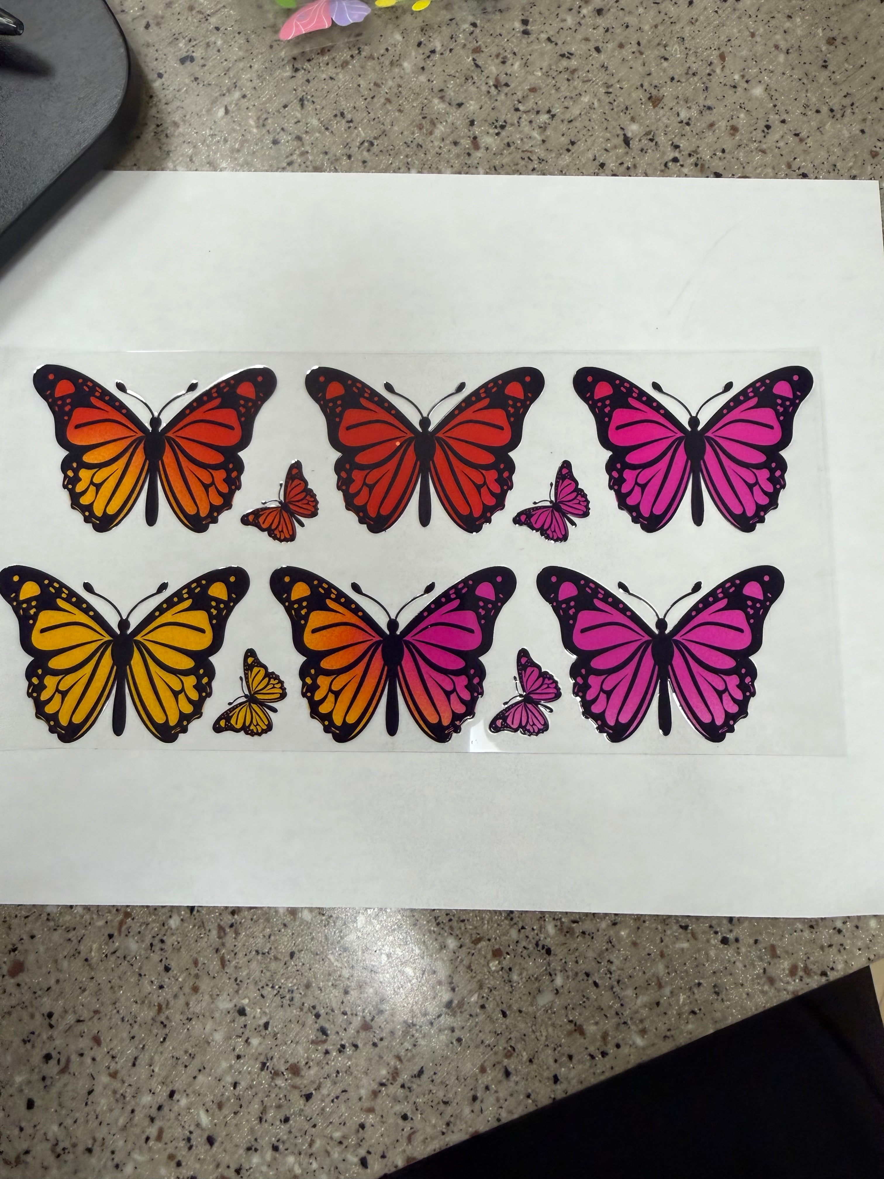 Orange pink butterfly