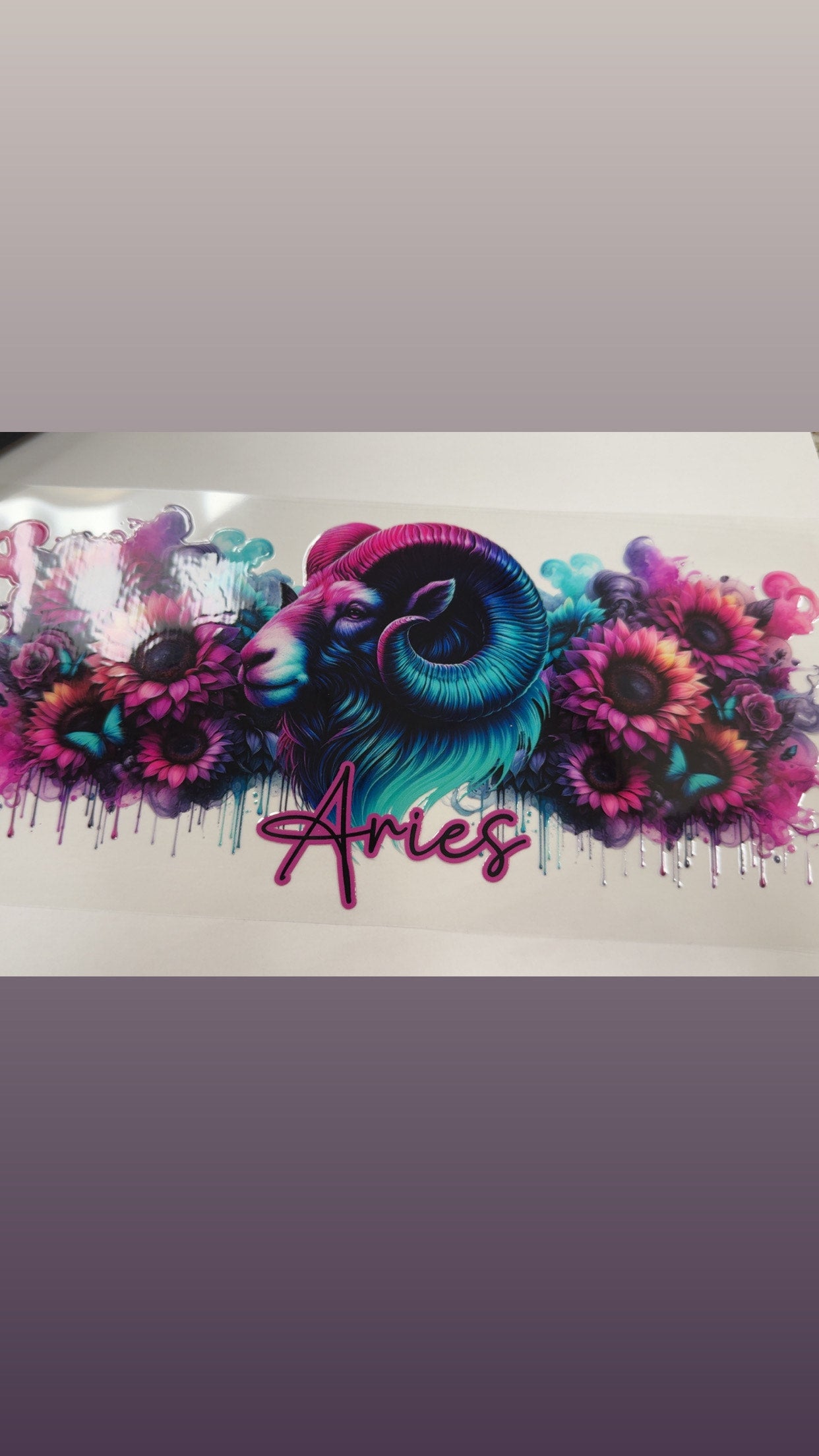 Aries Zodiac